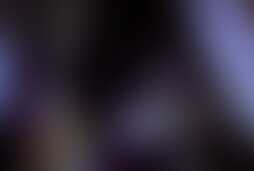 Фотография квеста Черная вдова от компании Энигма (Фото 5)