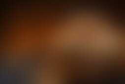Фотография квеста Передвижной квест: Шанхайский сюрприз от компании Квест-проект "Выйти из комнаты"  (Фото 1)