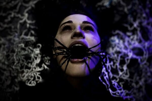 Фотография квеста «Черная вдова»