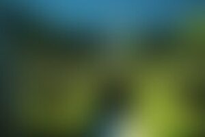 Фотография ролевого квеста Выхода нет? от компании Штрих-кот (Фото 1)