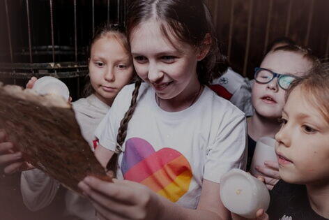 Квест-анимация «Форт Боярд» от 101 квест