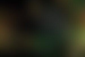 Фотография квеста Заговор друида от компании Энигма (Фото 4)