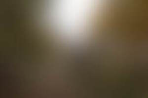 Фотография экшн-игры Лазертаг от компании Стрелок (Фото 5)