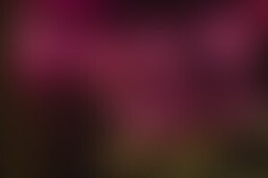 Фотография квеста Наследие от компании Фабрика квестов (Фото 5)