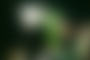 Фотография перформанса Джокер от компании K.S.T. (Фото 4)