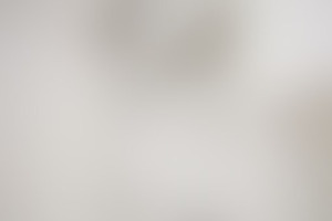 Фотография квеста Киборг-убийца от компании Фабрика квестов (Фото 4)