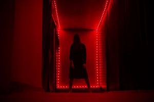 Фотография перформанса Phasmophobia от компании Phazmotech (Фото 3)