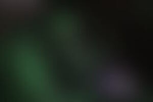 Фотография перформанса Аномальная зона "Инферно" от компании Энигма (Фото 2)