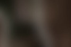 Фотография перформанса Аномальная зона "Инферно" от компании Энигма (Фото 5)