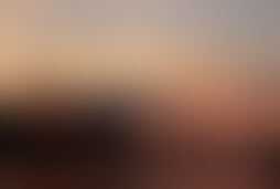 Фотография квеста Зомби-апокалипсис от компании Детские квесты (Фото 1)