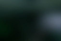 Фотография VR-квеста Тюрьма (delete) от компании Delete (Фото 2)
