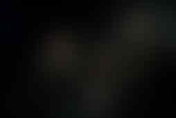Фотография квеста Путешествие на планету Нумибис от компании Predator Performance (Фото 3)